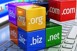 domain names orange county ny